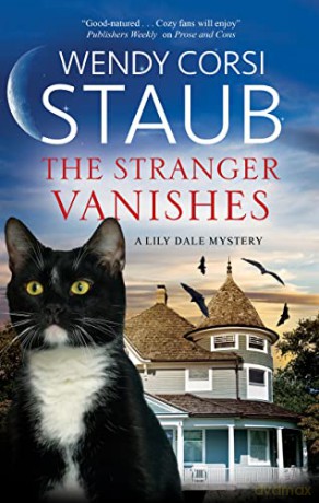 Stranger Vanishes Large Print - Wendy Corsi Staub [KSIĄŻKA]