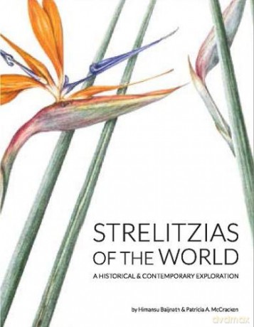 Strelitzias Of The World - Patricia A. McCracken [KSIĄŻKA]