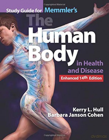 Study Guide For Memmler's The Human Body - Kerry L. Hull [KSIĄŻKA]