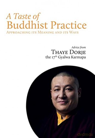Taste Of Buddhist Practice - His Holiness the 17th Karmapa Thaye Dorje [KSIĄŻKA]