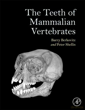 Teeth Of Mammalian Vertebrates [KSIĄŻKA]