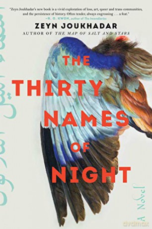 Thirty Names Of Night - Zeyn Joukhadar [KSIĄŻKA]