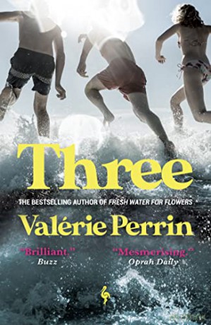 Three - Valérie Perrin [KSIĄŻKA]