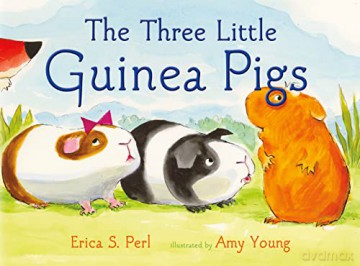 Three Little Guinea Pigs - Erica S Perl [KSIĄŻKA]