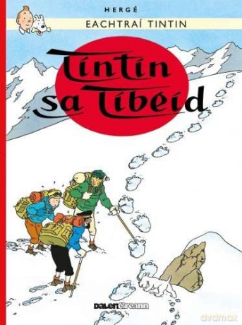 Tintin Tintin Sa Tibid Irish - Gabriel Herge [KSIĄŻKA]