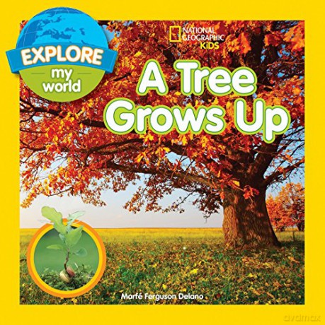Tree Grows Up - Delano [KSIĄŻKA]