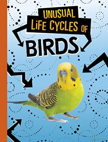 Unusual Life Cycles Of Birds - Jaclyn Jaycox [KSIĄŻKA]