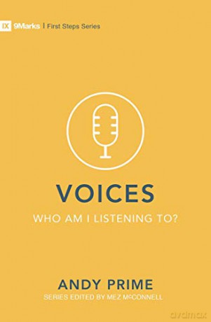 Voices Who Am I Listening To - Andy Prime [KSIĄŻKA]