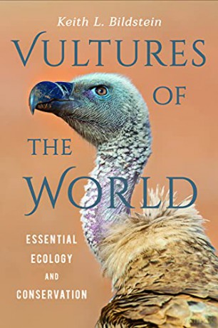 Vultures Of The World - Keith L. Bildstein [KSIĄŻKA]