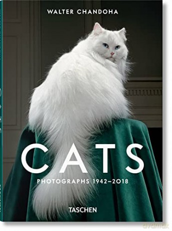 Walter Chandoha Cats Photographs 1942201 - Susan Michals [KSIĄŻKA]