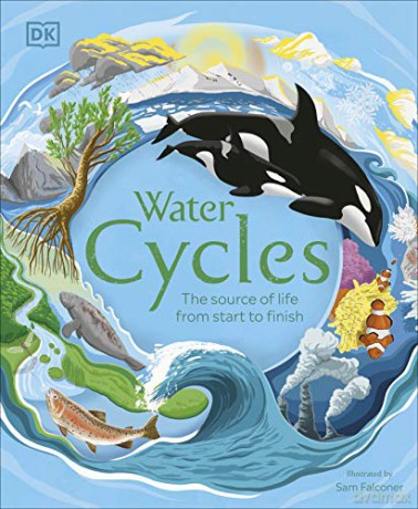 Water Cycles - DK [KSIĄŻKA]