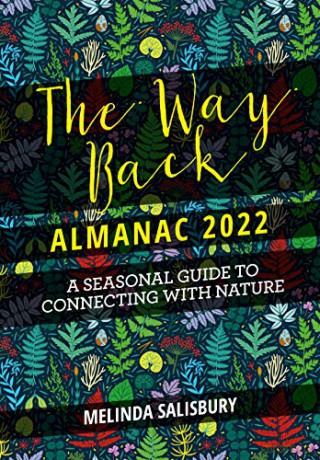 Way Back Almanac 2022 - Melinda Salisbury [KSIĄŻKA]