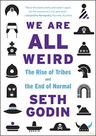 We Are All Weird - Seth Godin [KSIĄŻKA]