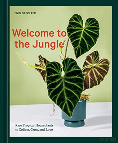 Welcome To The Jungle - Enid Offolter [KSIĄŻKA]