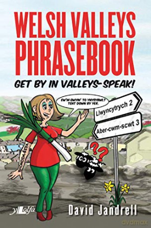 Welsh Valleys Survival Phrasebook Get By - David Jandrell [KSIĄŻKA]