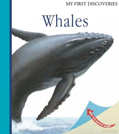 Whales My First Discoveries - Ute Fuhr [KSIĄŻKA]