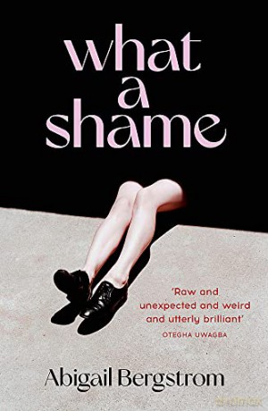 What A Shame - Abigail Bergstrom [KSIĄŻKA]