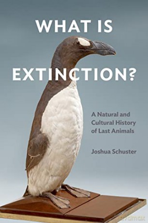 What Is Extinction - Joshua Schuster [KSIĄŻKA]