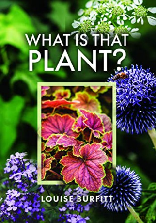What Is That Plant - Louise Burfitt [KSIĄŻKA]