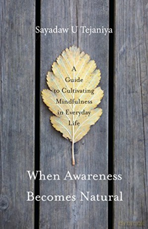 When Awareness Becomes Natural - Sayadaw U Tejaniya [KSIĄŻKA]