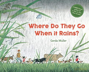 Where Do They Go When It Rains - Gerda Muller [KSIĄŻKA]