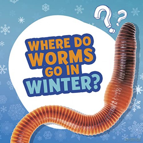 Where Do Worms Go In Winter - Ellen Labrecque [KSIĄŻKA]