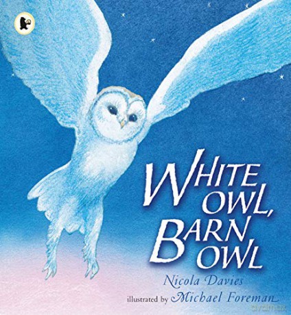White Owl Barn Owl - Nicola Davies [KSIĄŻKA]