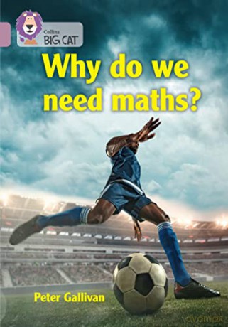 Why Do We Need Maths Band 15/Emerald - Peter Gallivan [KSIĄŻKA]