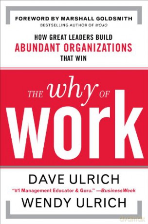 Why Of Work - David Ulrich [KSIĄŻKA]
