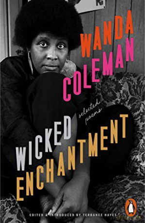 Wicked Enchantment - Wanda Coleman [KSIĄŻKA]
