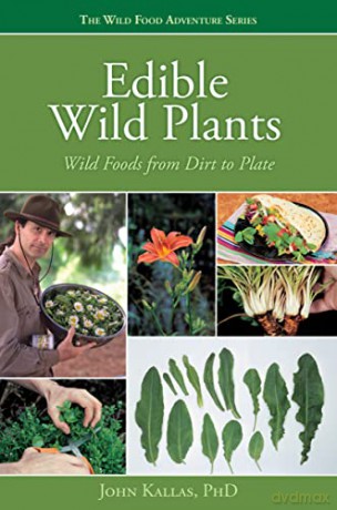 Wild Food From Dirt To Plate - John Kallas [KSIĄŻKA]