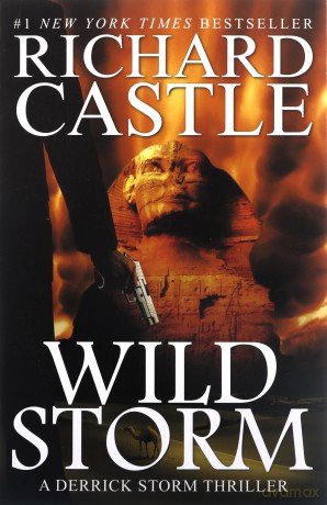 Wild Storm - Richard Castle [KSIĄŻKA]
