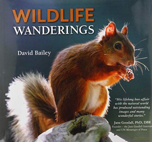 Wildlife Wanderings - David Bailey [KSIĄŻKA]