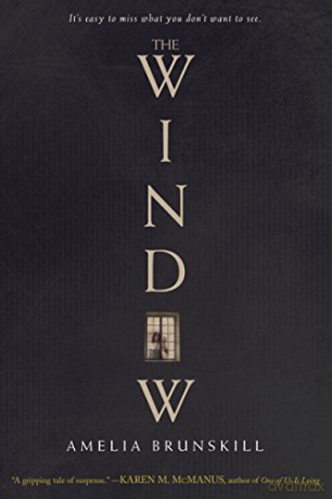 Window - Amelia Brunskill [KSIĄŻKA]