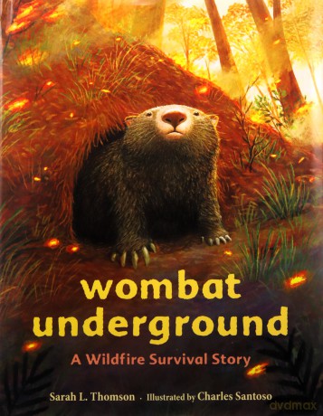 Wombat Underground - Charles Santoso [KSIĄŻKA]
