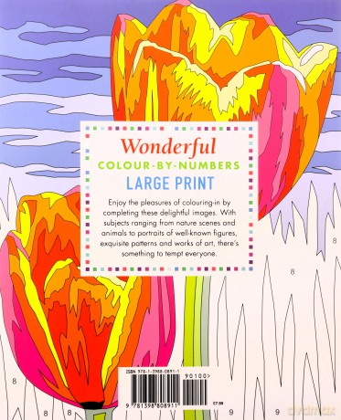 Wonderful Colour By Numbers Large Print - David Woodroffe [KSIĄŻKA]