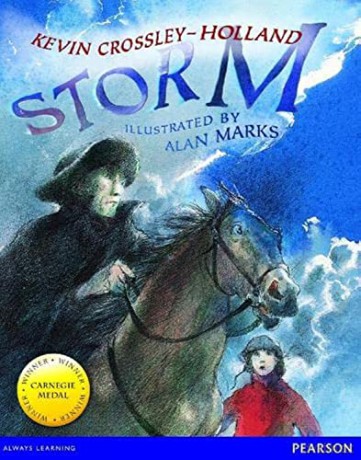 Wordsmith Year 3 Storm [KSIĄŻKA]