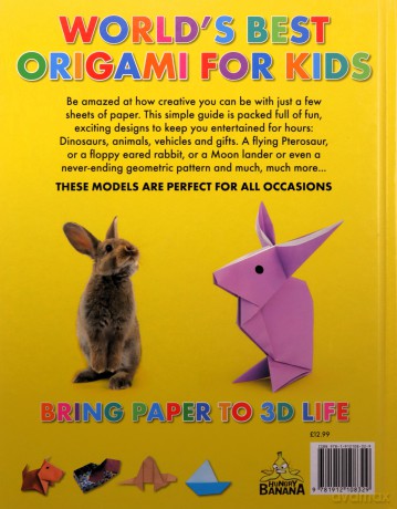 World's Best Origami Fro Kids - Rob Ives [KSIĄŻKA]