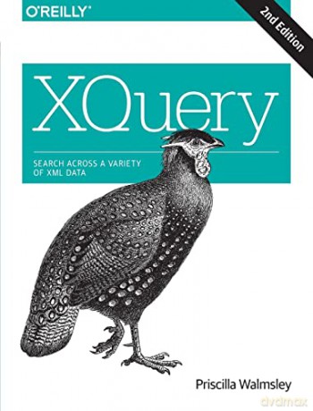 Xquery - Priscilla Walmsley [KSIĄŻKA]