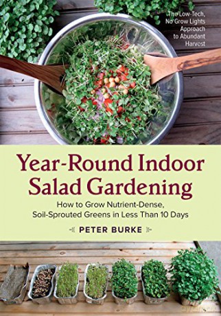 Year Round Indoor Salad Gardening - Peter Burke [KSIĄŻKA]