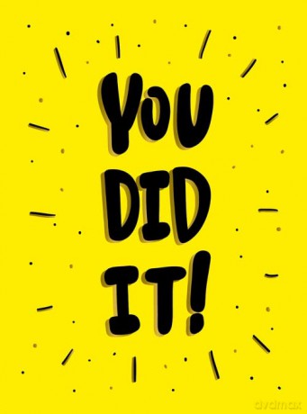 You Did It [KSIĄŻKA]