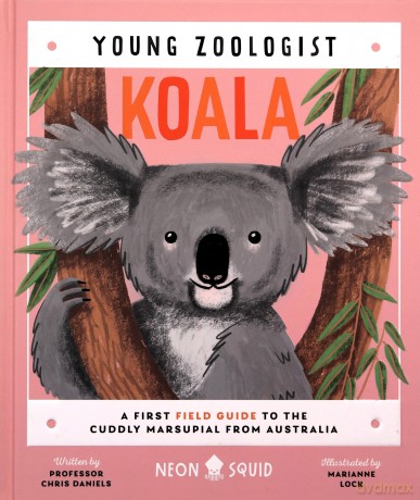 Young Zoologist Koala - Professor Chris Daniels [KSIĄŻKA]