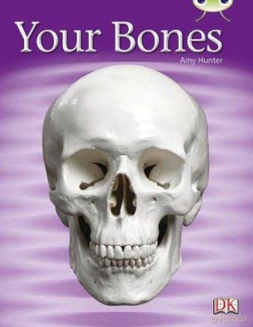 Your Bones 6pack - Amy Hunter [KSIĄŻKA]