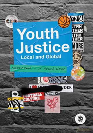 Youth Justice - Nicola Carr [KSIĄŻKA]