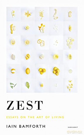 Zest - Iain Bamforth [KSIĄŻKA]