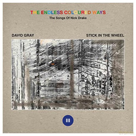 David Gray Stick In The Wheel: The Endless Coloured Ways The Songs Of Nick Drake EP [Winyl]