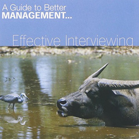 Di Kamp: Effective Interviewing (Fastforward Management Guides) [CD]