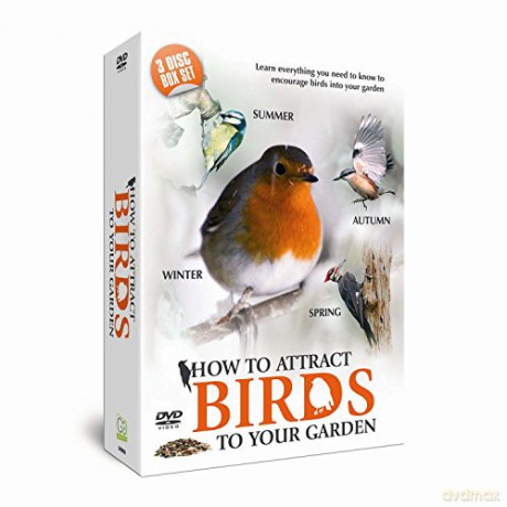 How To Attract Birds To Your Garden [3DVD]
