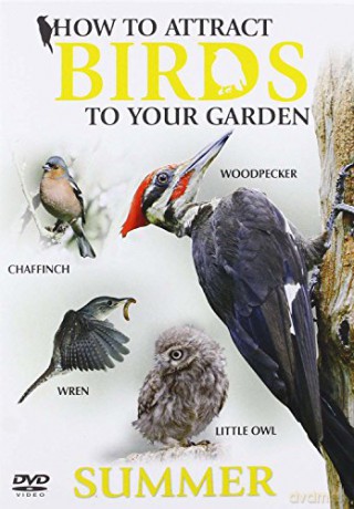 Unknown Actor: How To Attract Birds To Your Garden: Summer [DVD]