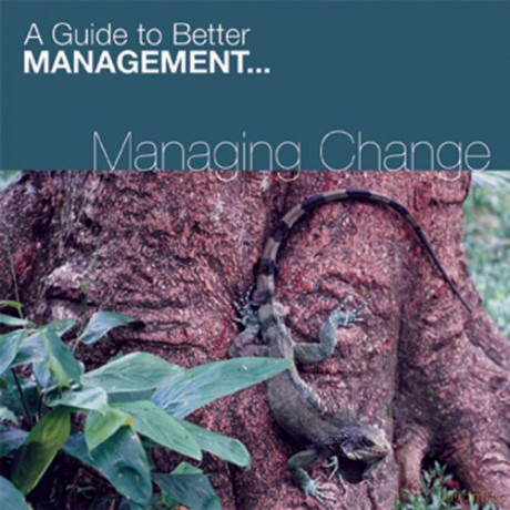 Di Kamp: Managing Change (Fastforward Management Guides) [CD]